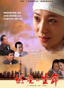 黄色的:视频
